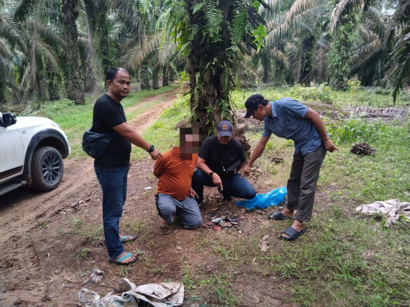 Pelaku Pembunuhan Sadis di Kebun Sawit Kampar Ditangkap Setelah 16 Hari Buron