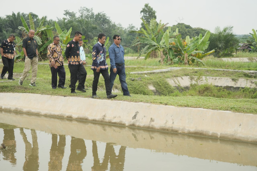 Tinjau Balai Benih Ikan Marsawa, Jadikan Kuansing Pusat Benih Riau