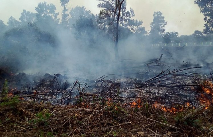 Waduh! Titik Api Bermunculan di Pinggiran Kota Pekanbaru