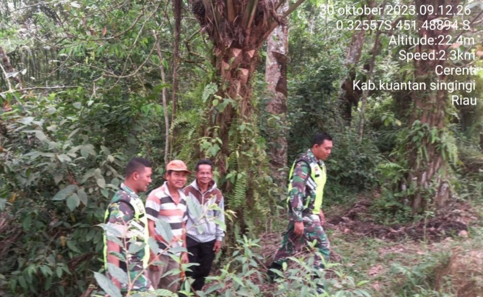 Cegah Karhutlah, Babinsa Koramil 06/Cerenti Kodim 0302/Inhu Tingkatkan Pengawasan Karlahut