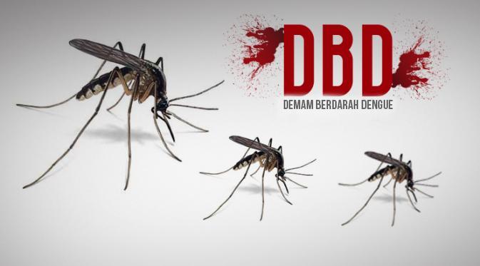 Dua Warga Pekanbaru Meninggal Dunia Akibat DBD