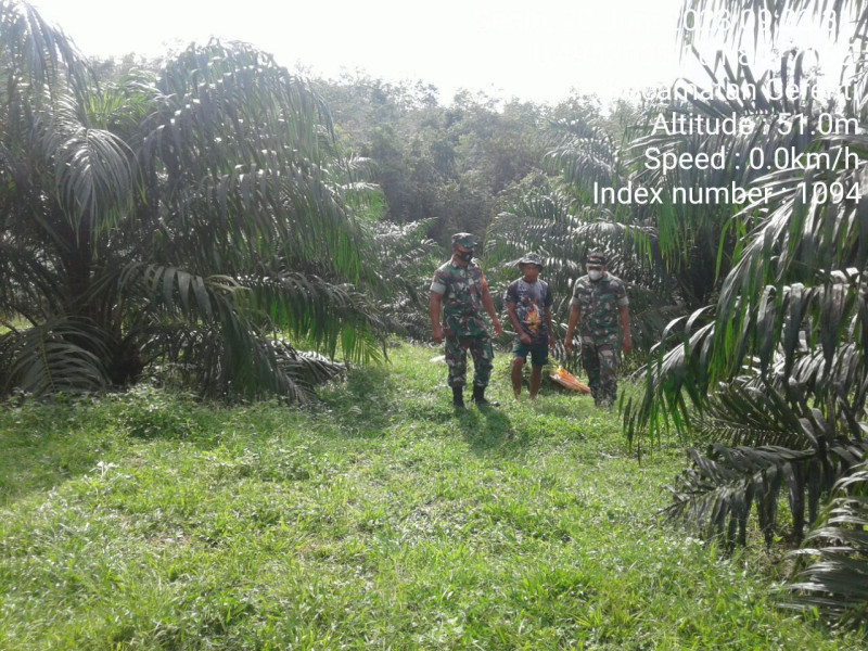 Di Desa Pulau Jambu Kecamatan Cerenti, Kopda Junedi Babinsa Koramil 06/Cerenti Kodim 0302/Inhu Laksanakan Patroli Untuk Cegah Kebakaran Hutan Dan Lahan