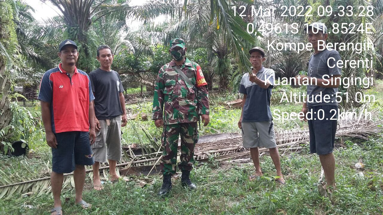 Serda SP.Nasution Babinsa Koramil 06/Cerenti  Kodim 0302/Inhu Bersama Masyarakat Desa Kompe Berangin Kecamatan Cerenti Lakukan Patroli Dengan Warga Untuk Mencegah Karhutla Diwilayah Binaan