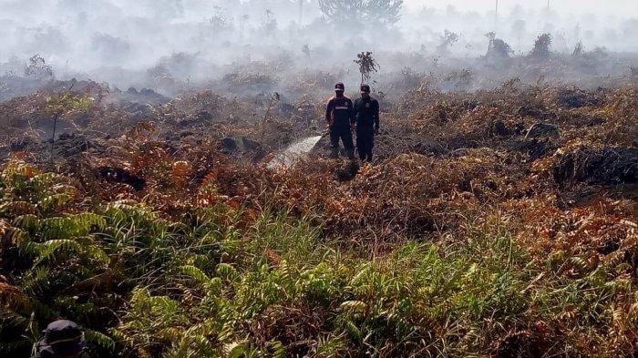 Luas Lahan Terbakar di Provinsi Riau Mencapai 2.878 Hektare