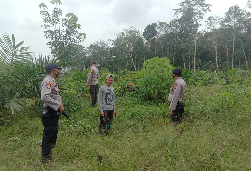 Polsek Pangkalan Lesung Patroli dan Sebarkan Maklumat Kapolda Riau Tentang Larangan Karlahut