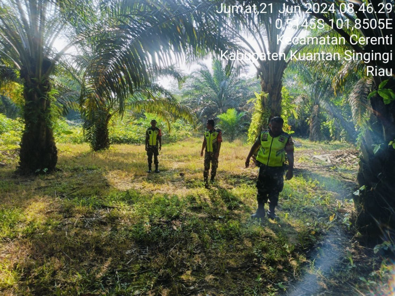 Di Desa Pulau Panjang Cerenti Babinsa Koramil 06/Cerenti Kodim 0302/Inhu Terus Sosialisasi Dan  Patroli Tentang Bahaya Karhutla Di Wilayah Binaan