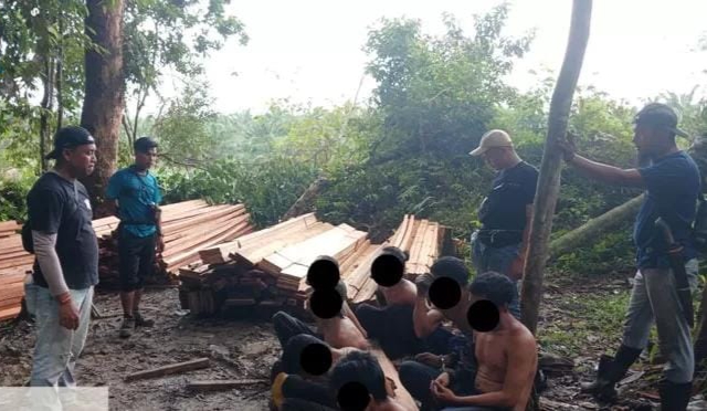 Polsek Singingi Hilir Bongkar Kasus Illegal Logging di SM Rimbang Baling, Tujuh Pelaku Ditangkap