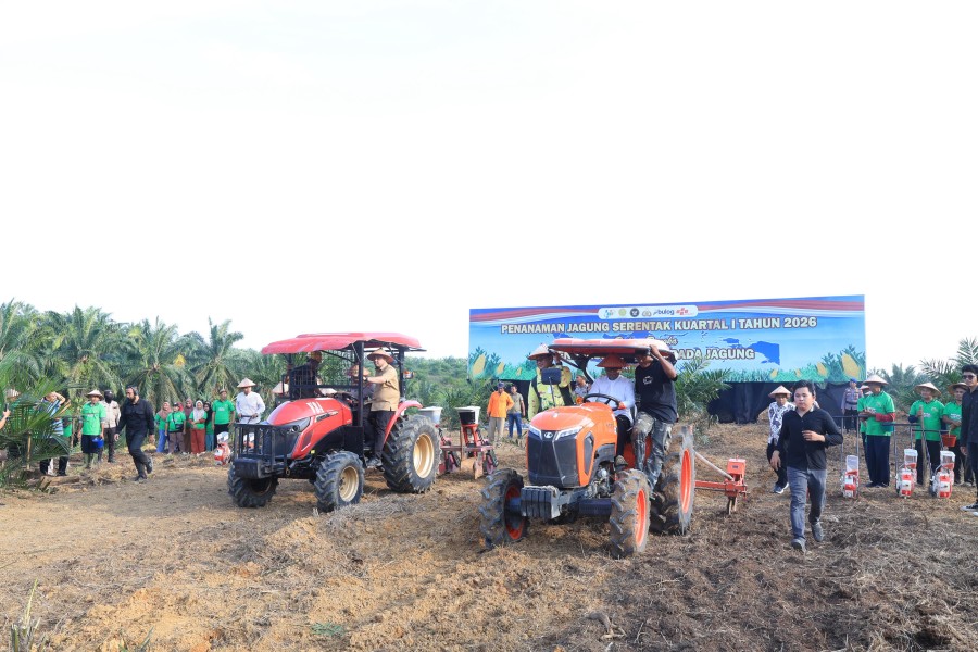 Program Ketahanan Pangan Polri, Polda Riau Sukses Tingkatkan Produksi Jagung hingga 385 Persen
