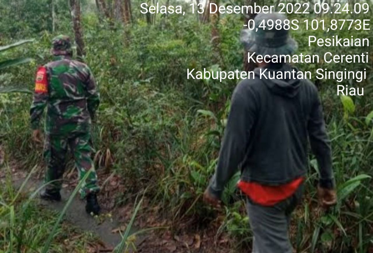 Tingkatkan Pengawasan Karlahut, Babinsa Koramil 06/ Cerenti Kodim 0302/ Inhu Kopda Muhammad Soleh Patroli Karhutla di Wilayah Teritorialnya 