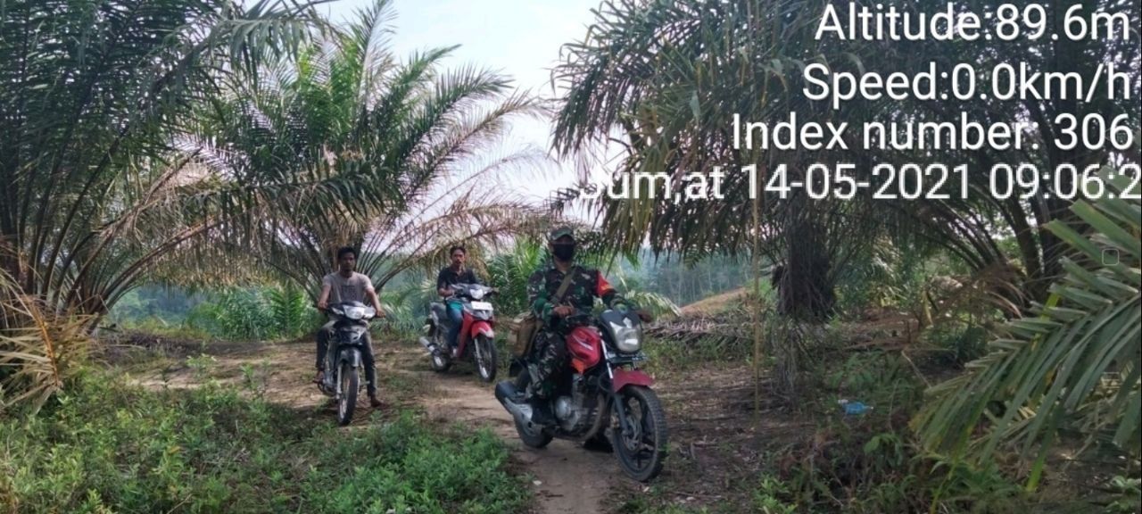 Babinsa Koramil 06/Cerenti Kodim 0302/Inhu Melakukan Sosialisasi Dan Patroli Tentang Bahaya Karhutla Di Wilayah Binaannya di Desa Pulau Jambu