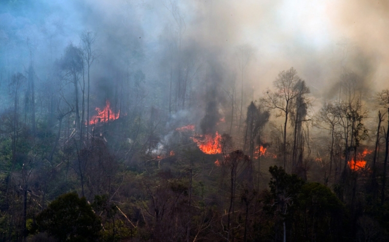 Waspada Karhutla! 12 Titik Panas Terdeteksi di Riau