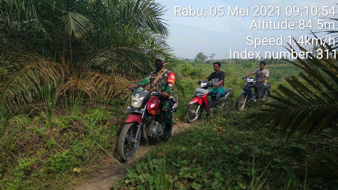 Untuk Mencegah Karhutla Serda Juanda Babinsa Koramil 06/cerenti Kodim 0302/ Inhu Tak Henti Hentinya Patroli Rutin