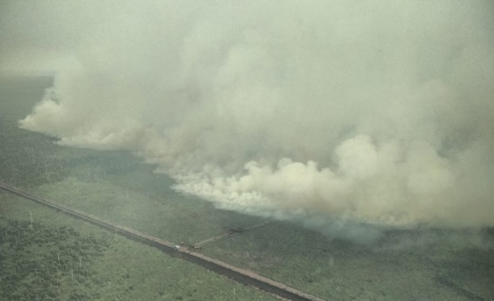 8 Daerah Riau Tetapkan Siaga Darurat Karhutla