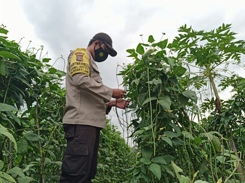 Personel Polsek Langgam Tinjau Kampung Tangguh di Desa Segati Pelalawan
