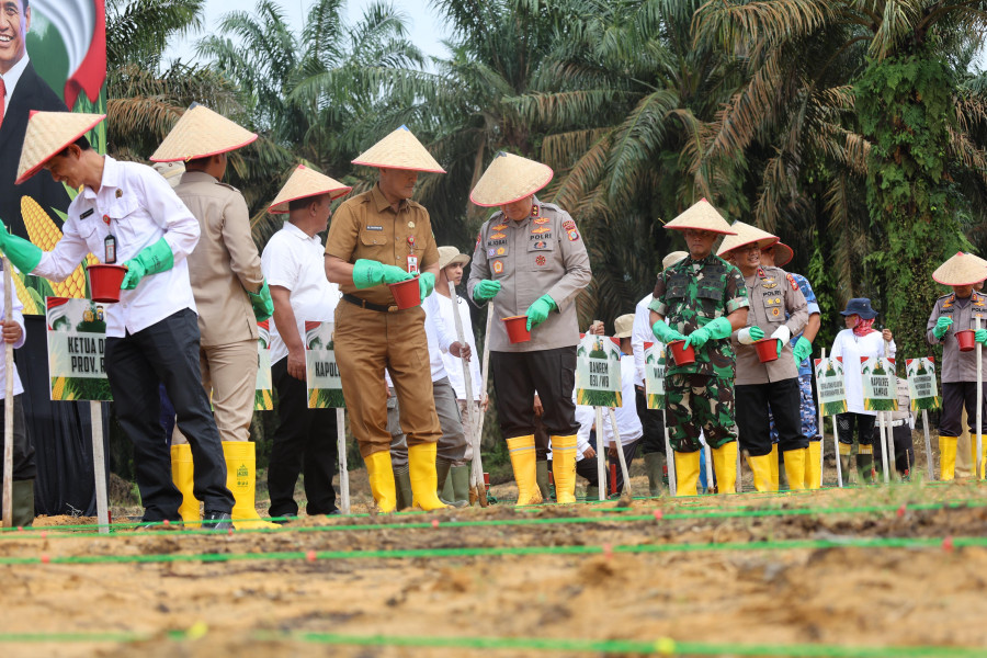 Polda Riau Gelar Penanaman Jagung 1 Juta Hektare untuk Dukung Ketahanan Pangan Nasional