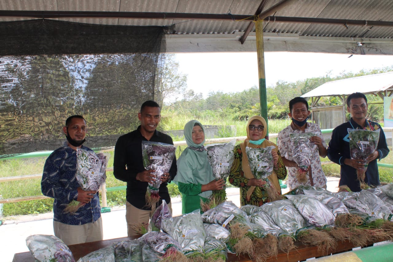 UNIKS Berikan Edukasi Ketahanan Pangan dan Pemberian Hasil Panen Kepada Masyarakat .
