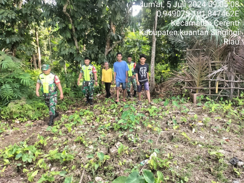 Personil Koramil 06/ Cerenti Kodim 0302/Inhu Melaksanakan Patroli Dan Pencegahan Kebakaran Hutan Dan Lahan Kecamatan Cerenti 