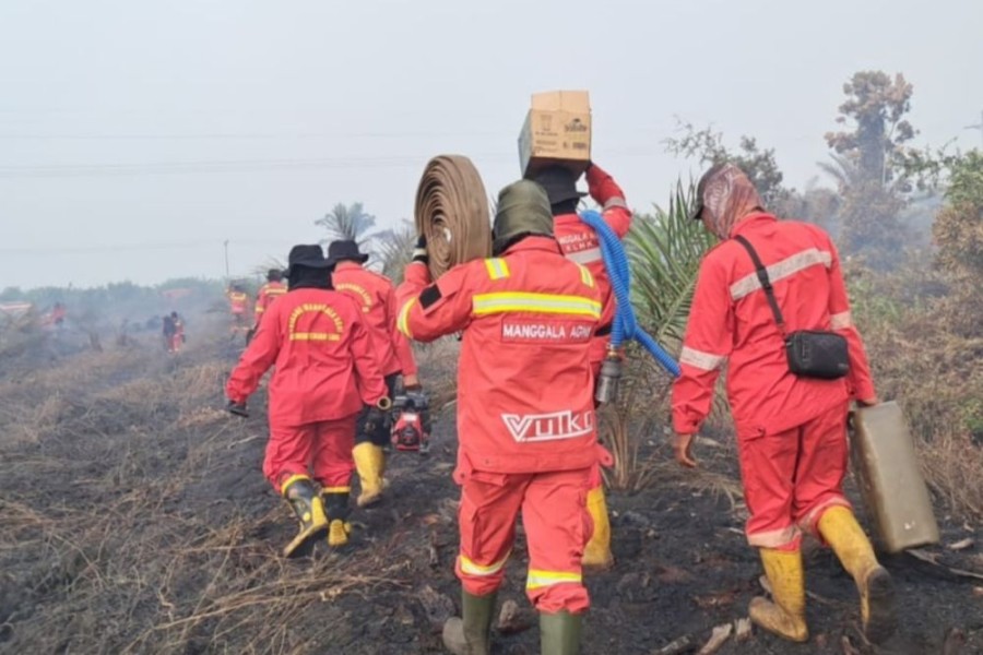 Cuaca Hujan Ringan Bantu Tekan Titik Panas di Riau, Hotspot Turun Drastis