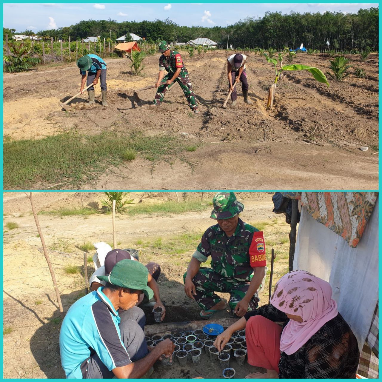 Babinsa Serda Epi Suanto Membantu Petani Mengolah Lahan Untuk Di Tanami Cabe Dan Bawang.