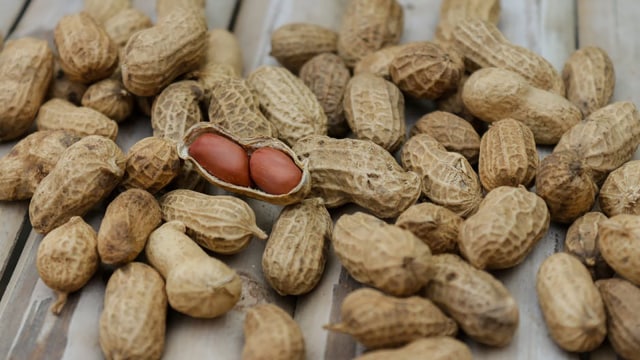 Wah! Ternyata Makan Kacang Tidak Menyebabkan Jerawat, Ini Penjelasan Pakar Kesehatan
