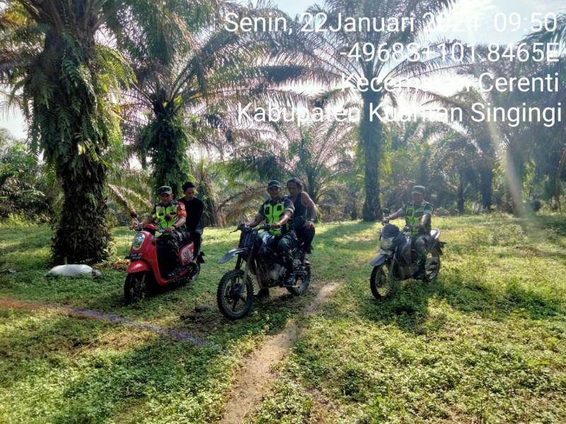 Di Desa Pulau Panjang Cerenti  Untuk Antisipasai Karhutla Para Babinsa Koramil 06/Cerenti Kodim 0302/Inhu Laksanakan Patroli
