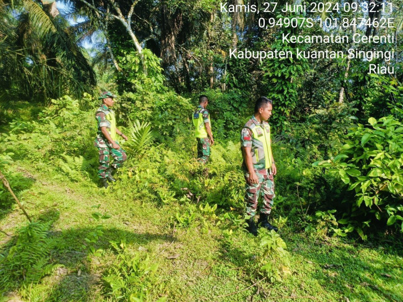 Anggota Personil  Koramil 06/ Cerenti Kodim 0302/Inhu Melaksanakan Patroli Dan Pencegahan Kebakaran Hutan Dan Lahan di Kecamatan Cerenti Kabupaten Kuansing 