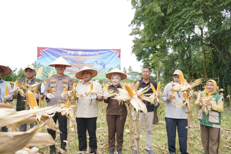 Kapolres Kuansing: Panen Raya Jagung Bukti Keberhasilan Ketahanan Pangan Nasional