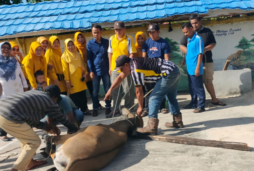 Sukseskan Program Bupati,  SMP 1 Bukit Batu sembelih 3 Ekor Sapi