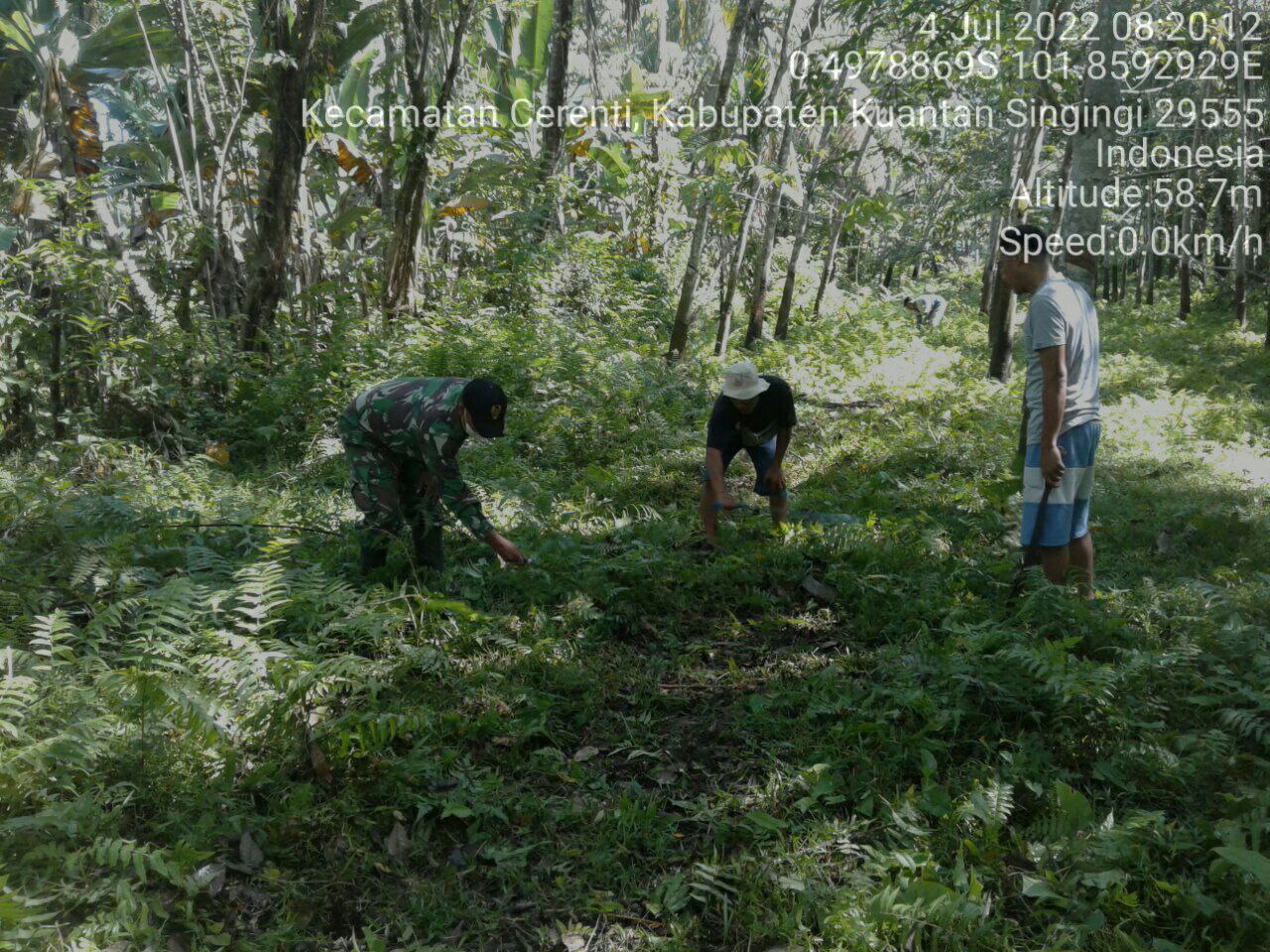 Babinsa Koramil 06/Cerenti Kodim 0302/Inhu Peduli Lingkungan Babinsa Bersama Warga Gotong Royong Bersihkan Lingkungan Desa Kompe Berangin Kecamatan Cerenti