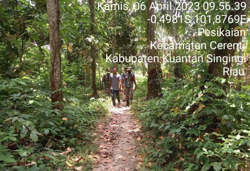 Babinsa Koramil 06/Cerenti Kodim 0302/Inhu, Sertu Firman di Kecamatan Cerenti Laksanakan Patroli Untuk Cegah Kebakaran Hutan Dan Lahan