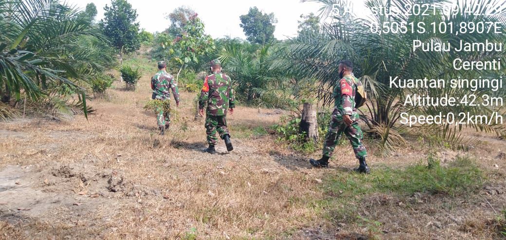 Babinsa Koramil 06/Cerenti Kodim 0302 Inhu, Serka M.Amin dan Anggota Lainnya Untuk Mencegah Karhutlah Dengan Cara Gencarkan Sosialisasi Dan Patroli