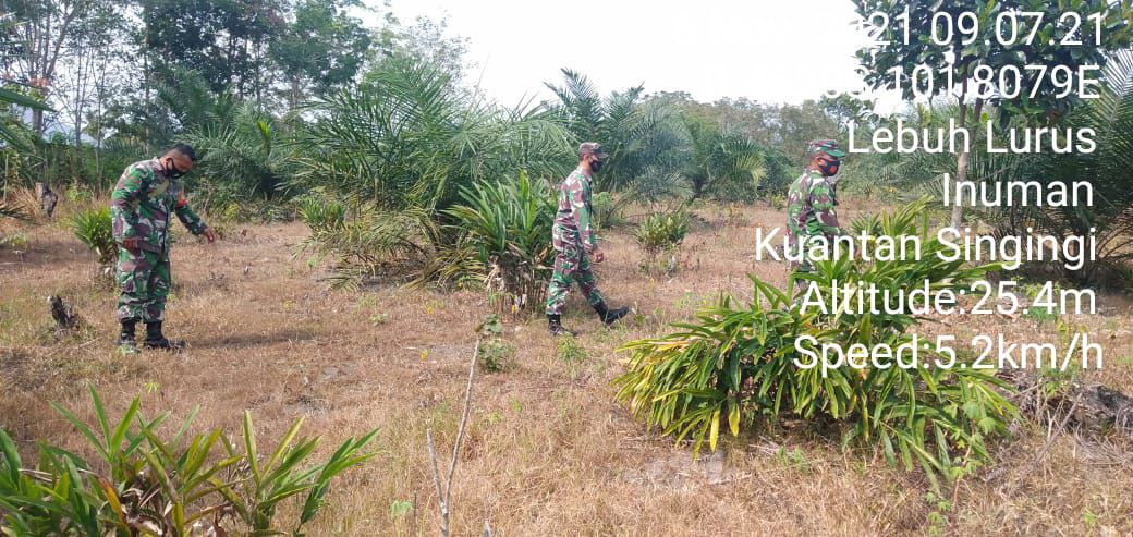 Serka M. Amin Babinsa Koramil 06 Cerenti Kodim 0302 Inhu Antisipasi Karhutla, Babinsa Himbau Dan Ajak Warga Binaan Patroli Wilayah di Desa Lebuh Lurus Kecamatan Inuman