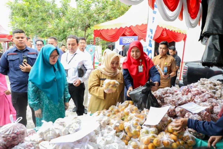 Skor PPH 2024 Raih Klasifikasi Baik, Pemkab Bengkalis Terima Apresiasi Nasional