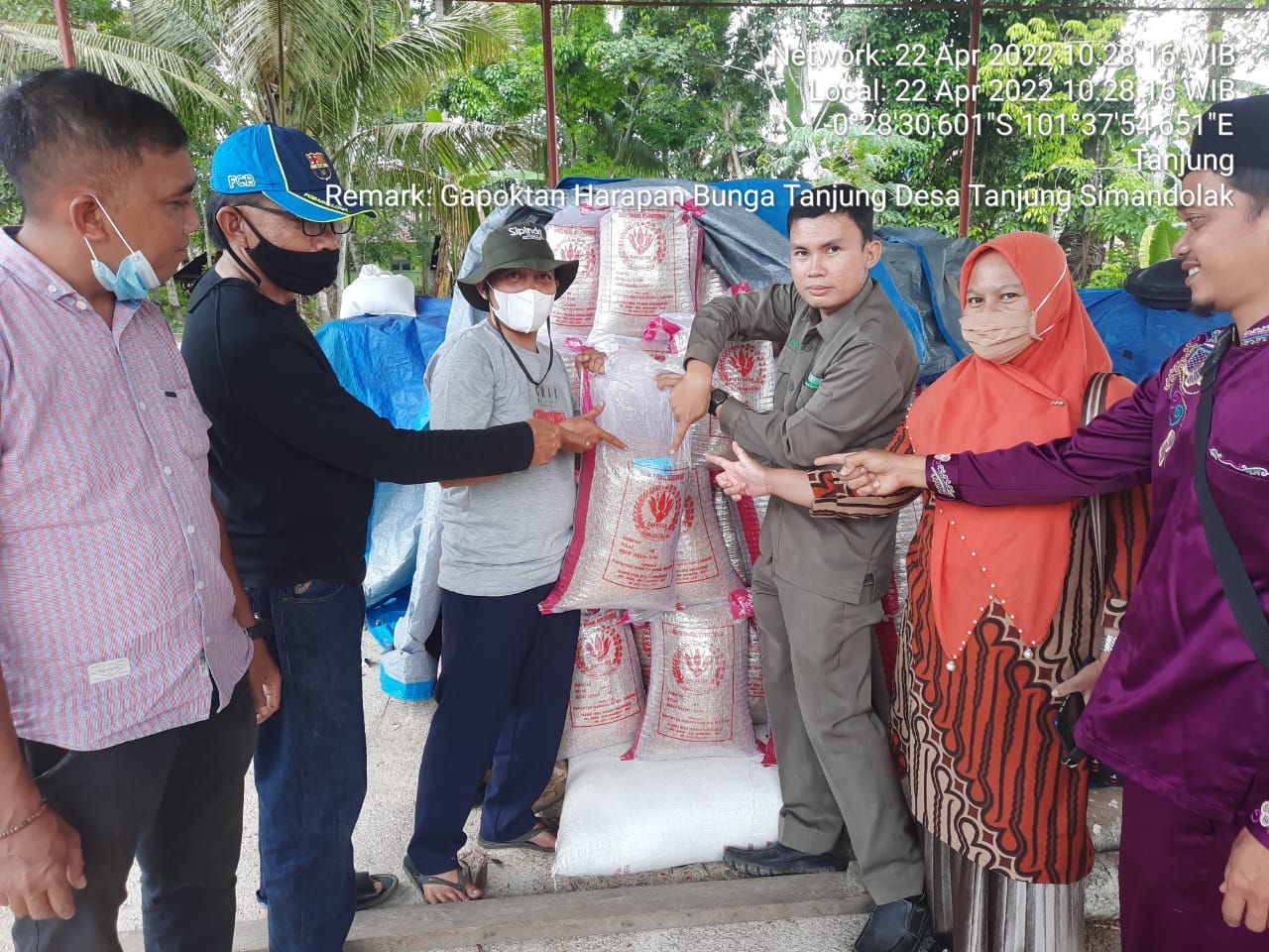 Setelah Bersetifikat, Akhirnya Benih Padi Unggul Dari Desa Tanjung Simandolak Di Kirim Ke Rohil