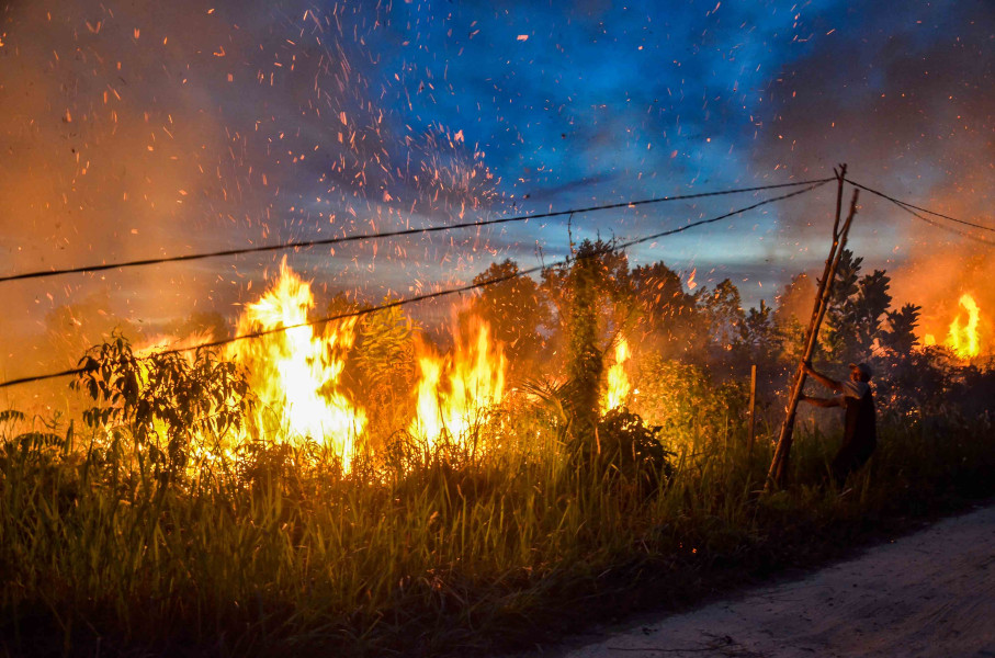 Memasuki Musim Kemarau, Pemko Pekanbaru Waspadai Ancaman Karhutla