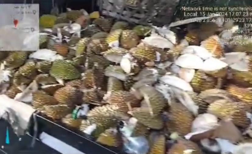 Tim GAKKUM DLHK Kota Pekanbaru Lakukan Tindakan Pencegahan Pembuangan Sampah Kulit Durian di Jalan Pesantren