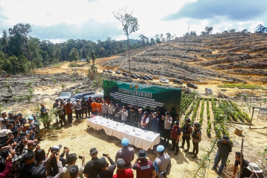 Sawit Ilegal di Kawasan Hutan Lindung: Empat Tersangka Diciduk Polda Riau
