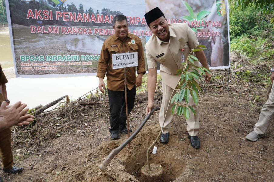 Hadiri Penghijauan DAS Di Sungai Manau, Kadis DLH Riau Janjikan Percepatan Izin Kayu Jalur