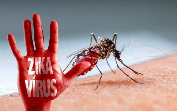 Ancaman Virus Zika Dikhawatirkan Lebih Besar Dibanding Ebola