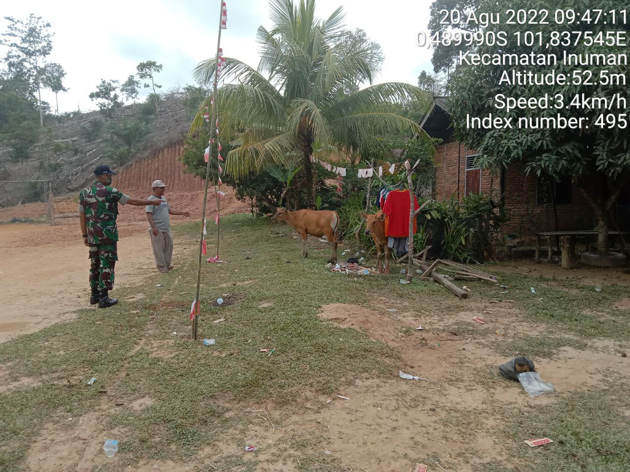 Antisipasi PMK Babinsa Koramil 06/Cerenti Kodim 0302/Inhu Cek Sapi Warga Binaan di Desa Pulau Busuk Jaya