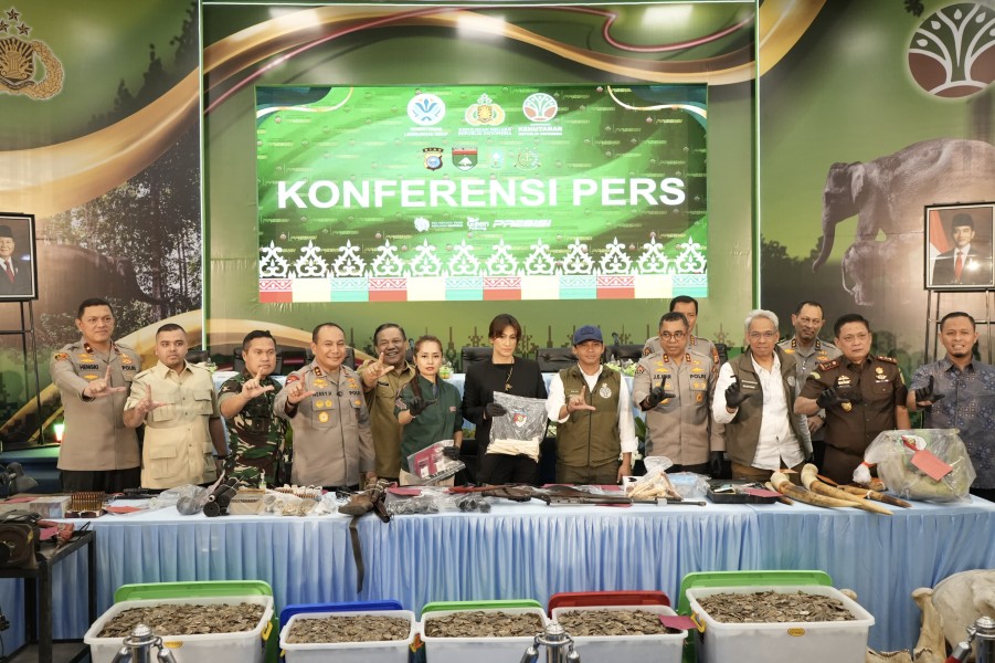 Davina Veronica: Pengungkapan Perburuan Gajah oleh Polda Riau Jadi Sejarah Baru Perlindungan Satwa