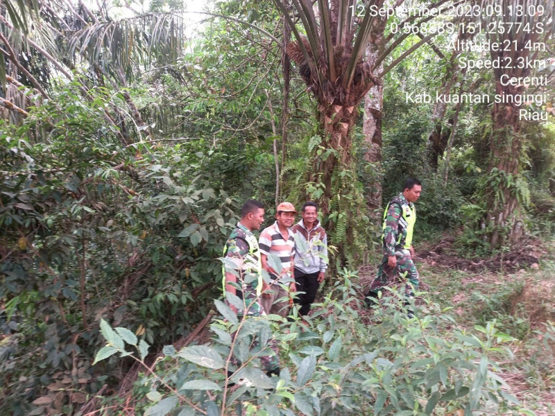 Babinsa Koramil 06/Cerenti Kodim 0302/Inhu Tingkatkan Pengawasan Karlahut Melaksanakan Patroli Dan  Sosialisasi Kepada Masyarakat Pulau Jambu