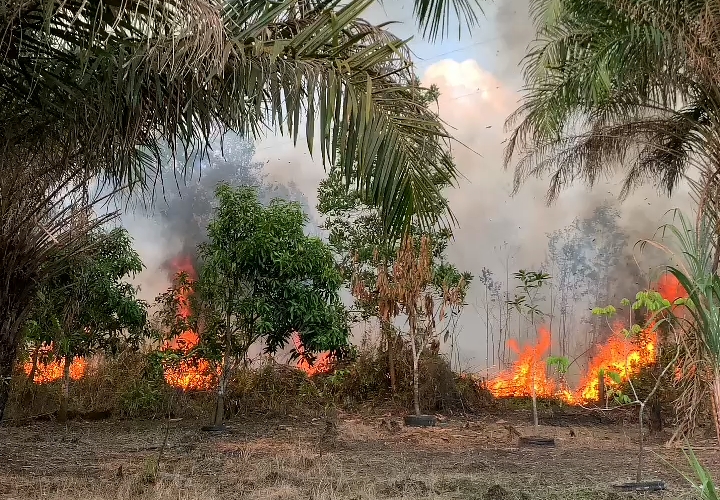 BMKG Deteksi 162 Titik Panas di Sumatera, Riau Catatkan 35 Hotspot