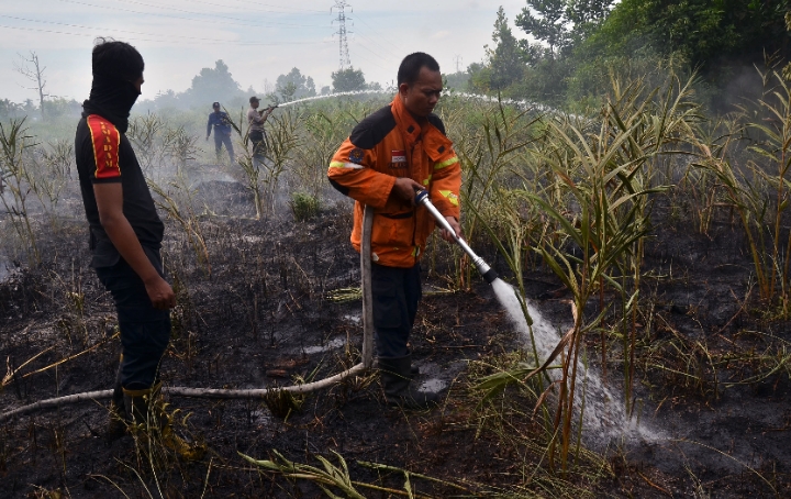 Masuki Puncak Musim Kemarau, BPBD Pekanbaru Segera Usulkan Status Siaga Darurat Karhutla