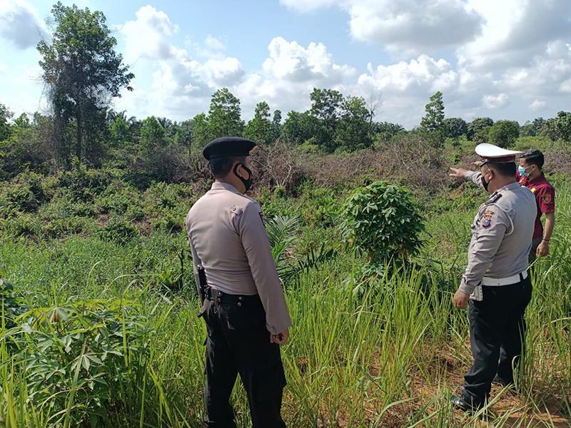 Polsek Pangkalan Kerinci Kembali Lakukan Patroli Karhutla