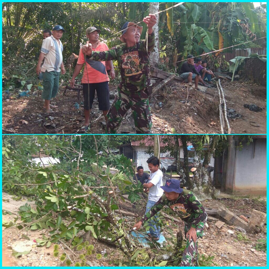 Serda Sadali Gotong Royong Membersihkan Pohon Yang Mengganggu Aliran Listrik.