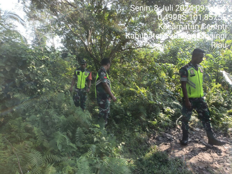 Pratu Reki Gunawan Babinsa Koramil 06/Cerenti Kodim 0302/Inhu Melaksanakan Patroli Bahaya Karhutla Di Desa Pulau Jambu