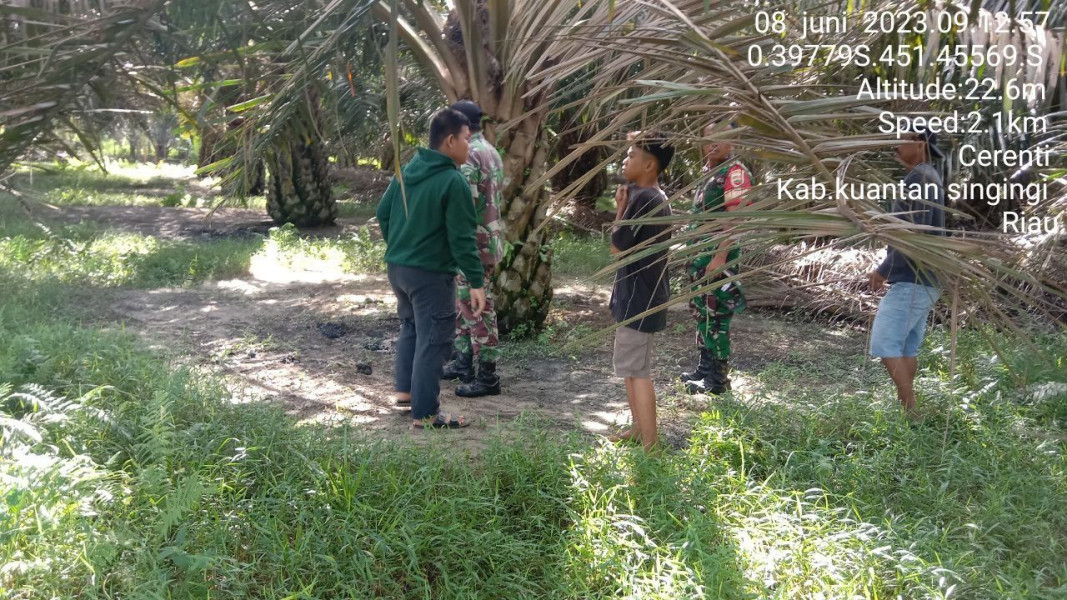 Tingkatkan Pengawasan Karlahut, Serda Dumen Siregar Melaksanakan Patroli dan Sosialisasi Kepada Masyarakat