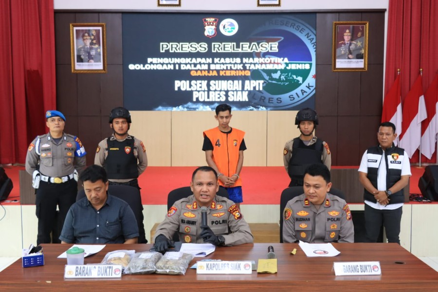 Gerebek Rumah Bandar Ganja di Siak, Polisi Temukan 2,2 Kg Barang Bukti
