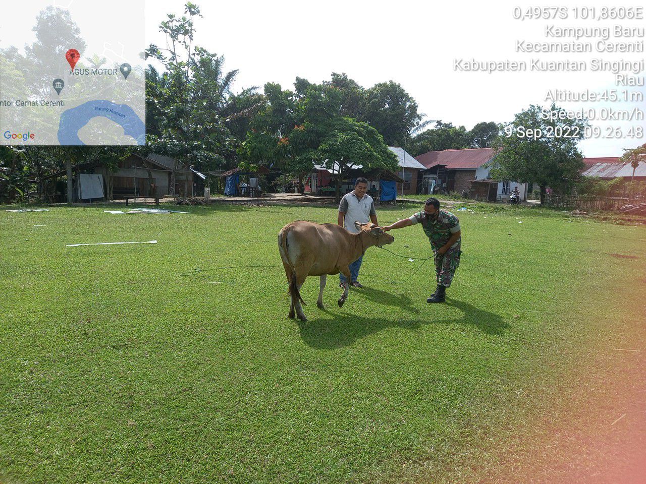 Kopda Irwan Babinsa Koramil 06/Cerenti Kodim 0302/Inhu, Pantau Perkembangan PMK Dengan Mengunjungi Sejumlah Peternak Warga